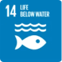 14.Life below water