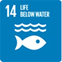 14.Life below water